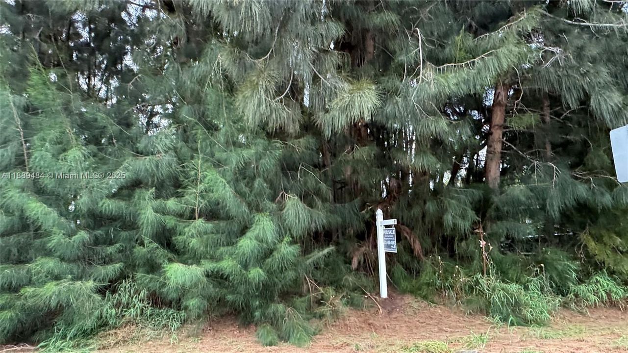 .19 ACRE LOT - BUILDING PERMIT READY