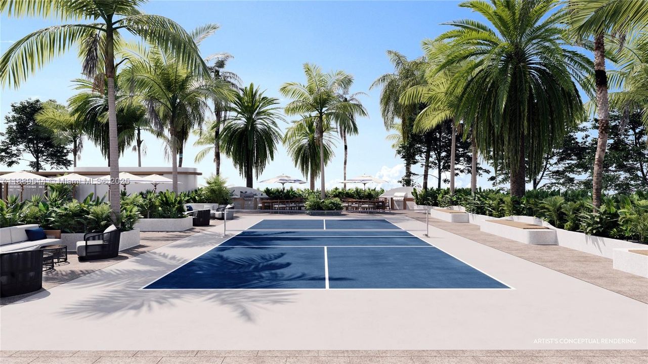 Pickleball Court