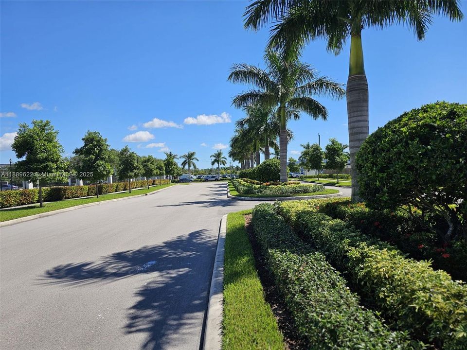 Active With Contract: $2,500 (3 beds, 3 baths, 0 Square Feet)