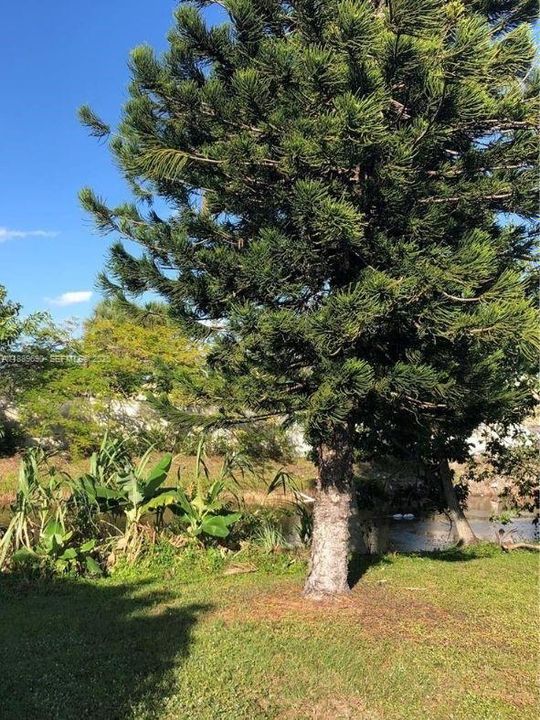 Под контрактом: $2,900 (4 спален, 2 ванн, 1342 Квадратных фут)