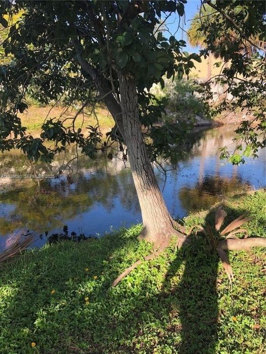 Под контрактом: $2,900 (4 спален, 2 ванн, 1342 Квадратных фут)