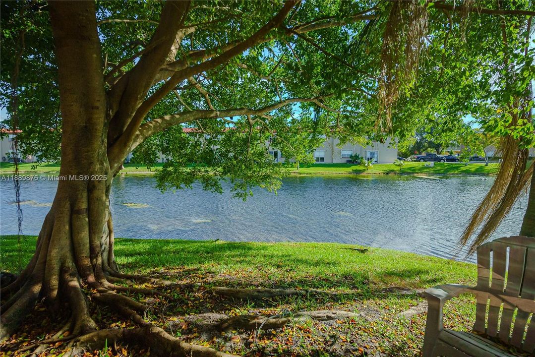 Под контрактом: $2,500 (3 спален, 2 ванн, 1125 Квадратных фут)