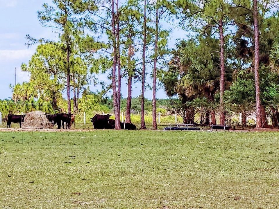 На продажу: $599,900 (2 спален, 2 ванн, 0 Квадратных фут)