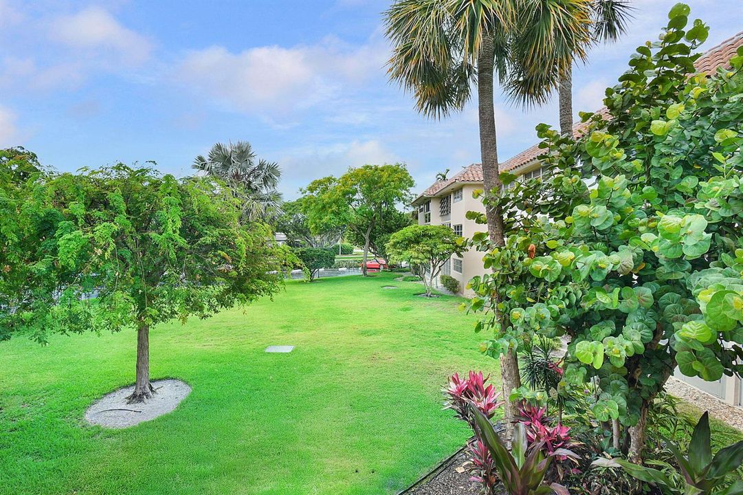 11-web-or-mls-500_8788