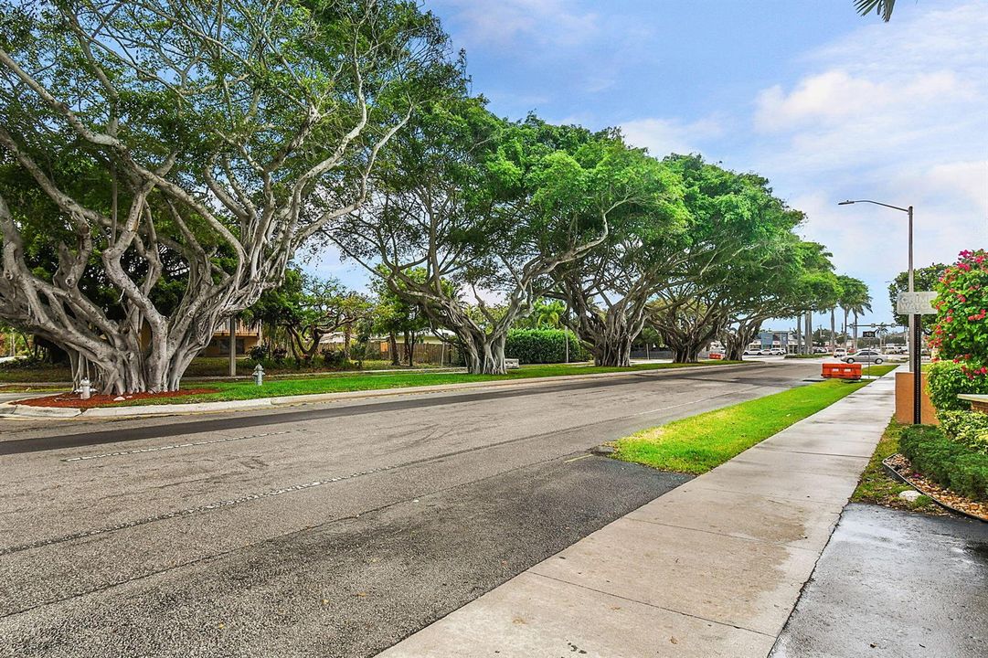 30-web-or-mls-500_8930