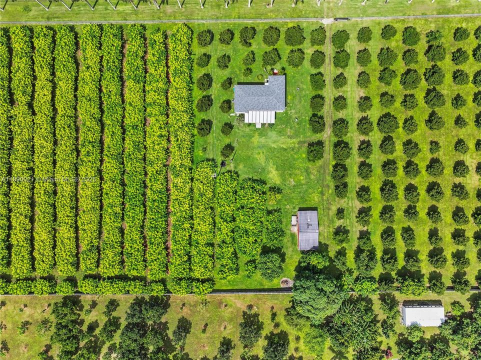 Recently Sold: $1,200,000 (2 beds, 1 baths, 2362 Square Feet)