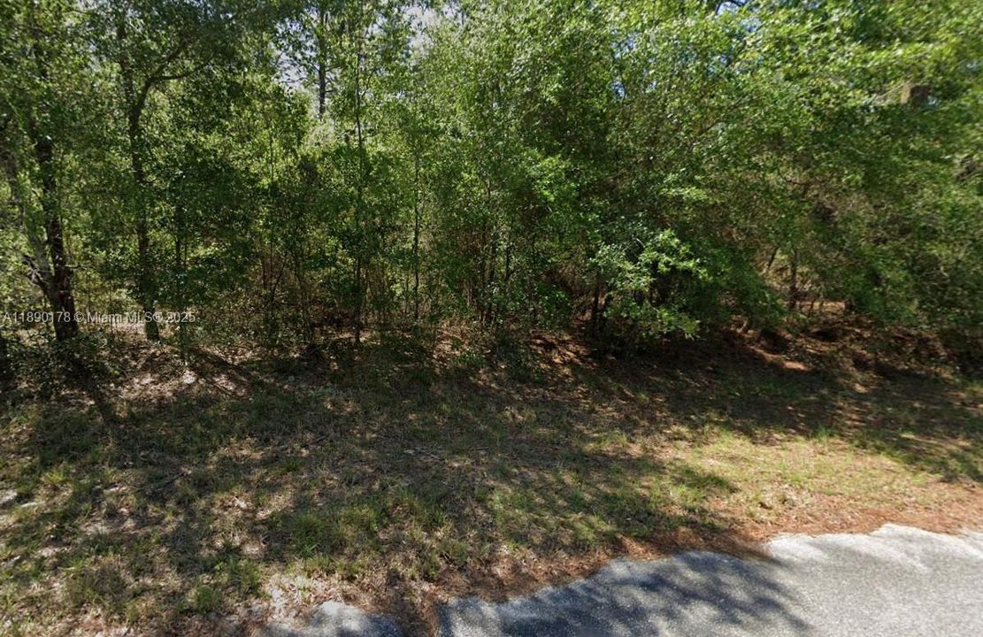 Wooded Acreage- Undeveloped