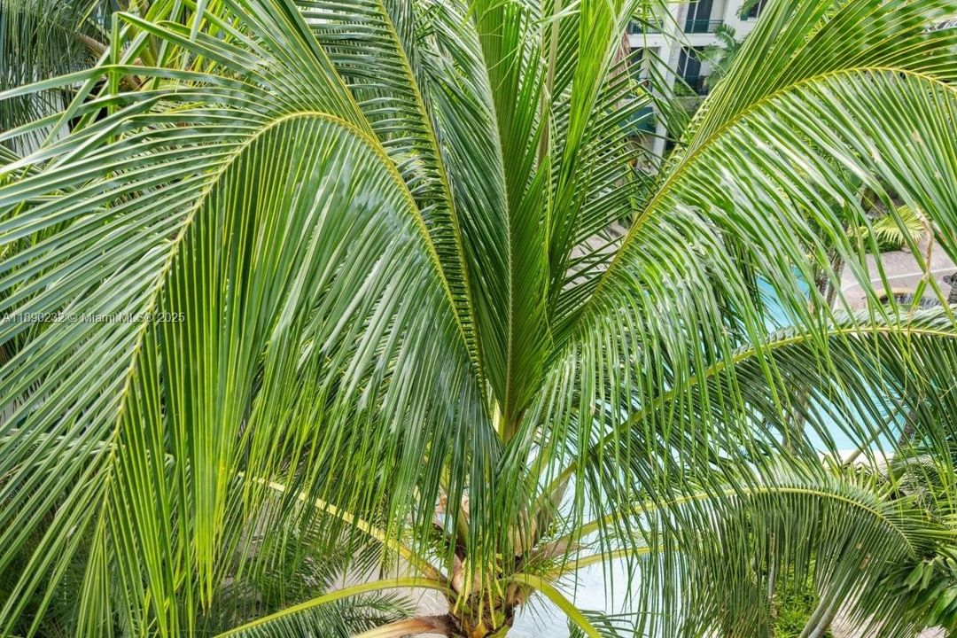 Activo con contrato: $2,900 (2 camas, 2 baños, 1144 Pies cuadrados)