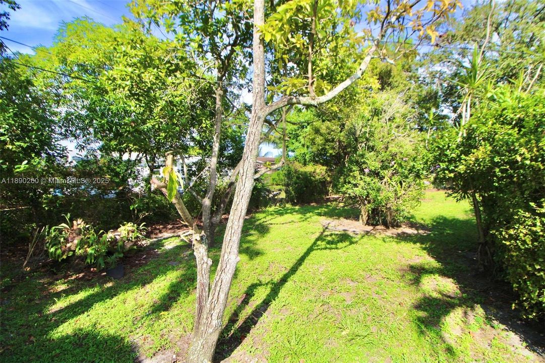 Active With Contract: $370,000 (3 beds, 2 baths, 1264 Square Feet)