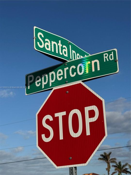 For Sale: $49,000 (0.25 acres)