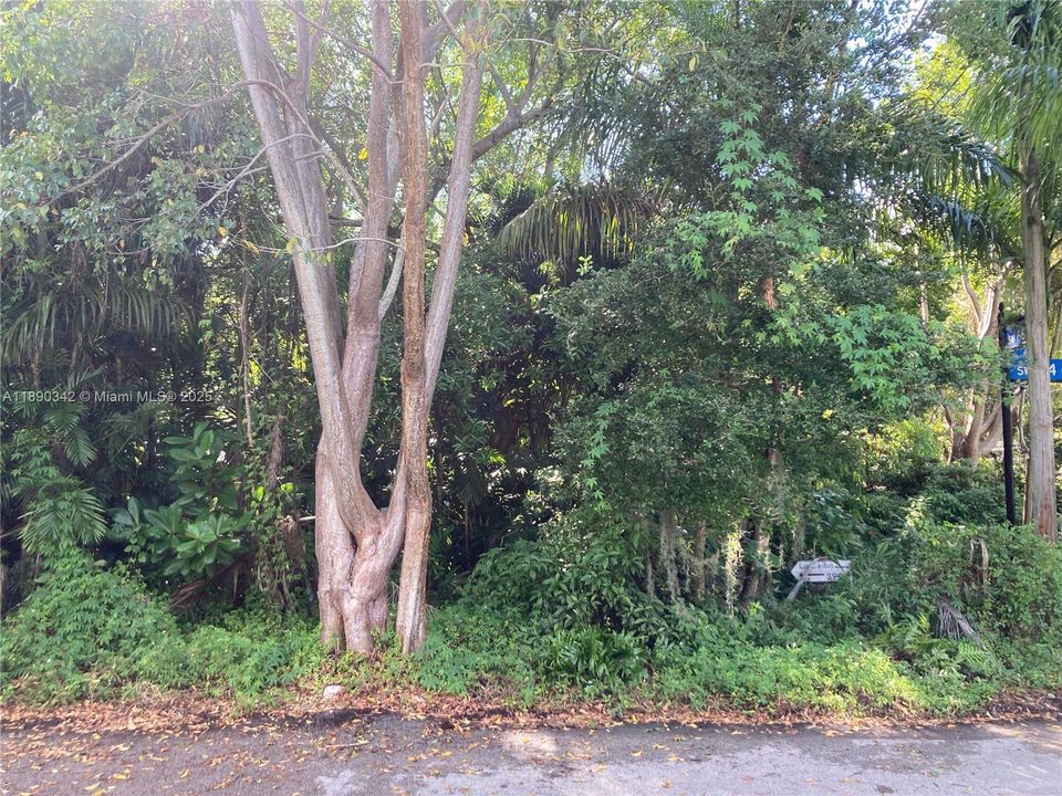 Vendido Recientemente: $799,000 (2 camas, 1 baños, 1272 Pies cuadrados)