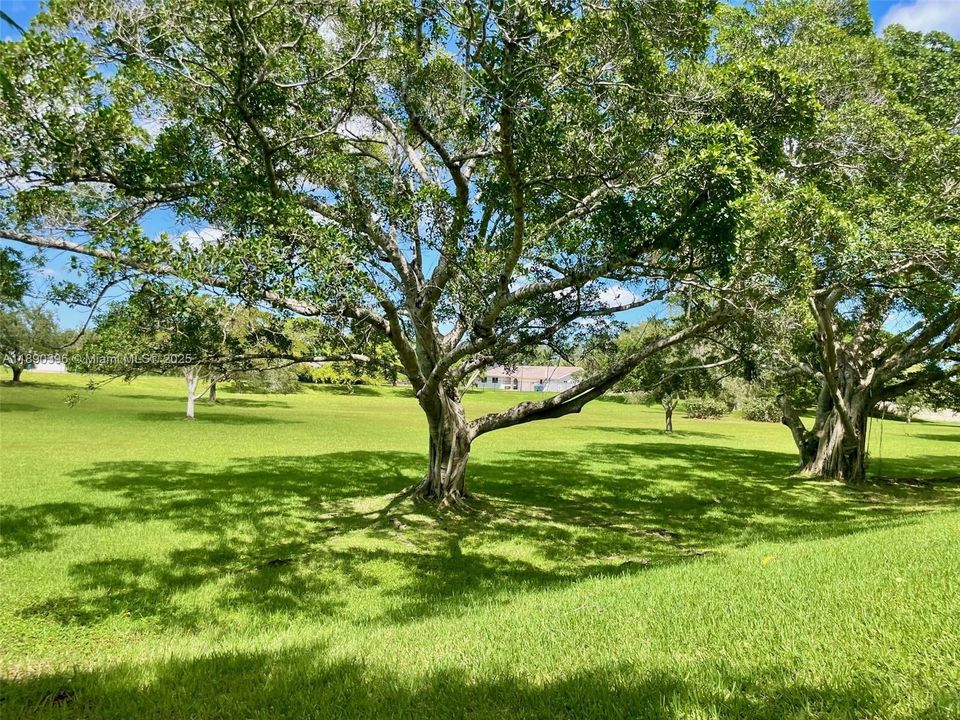 Под контрактом: $3,450 (2 спален, 2 ванн, 1780 Квадратных фут)