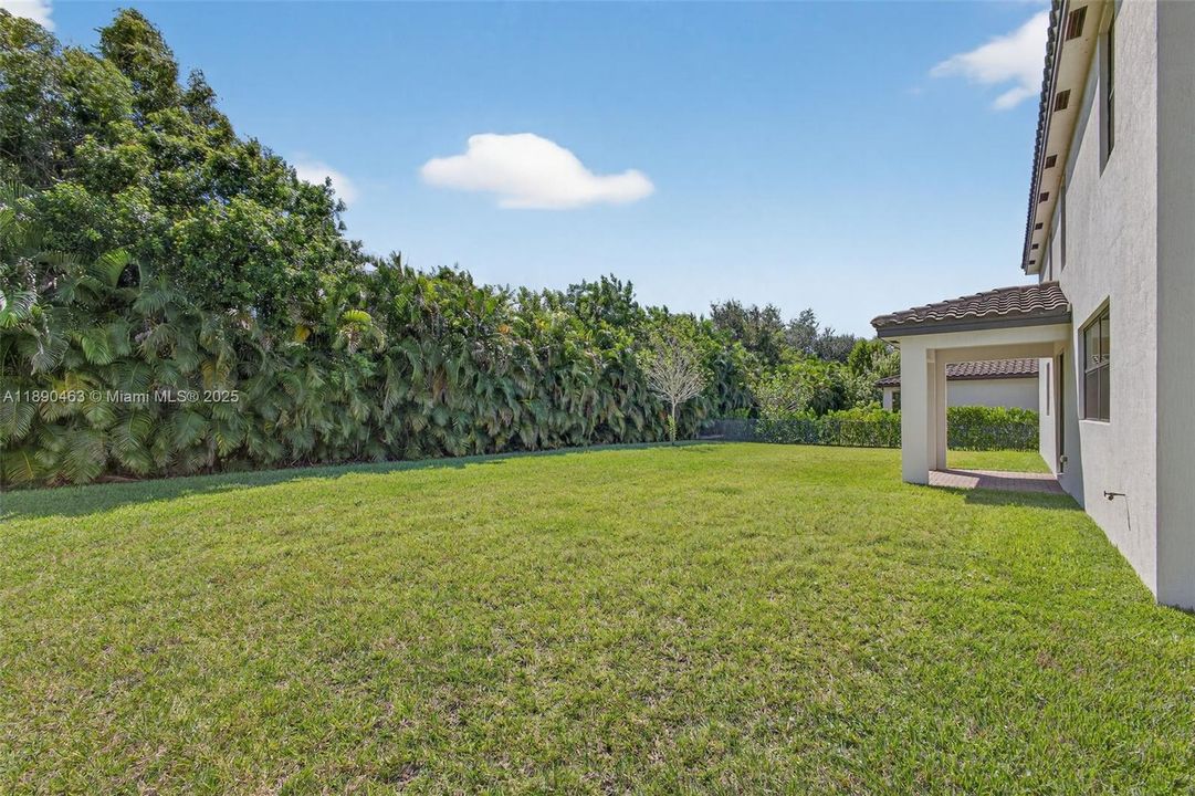 Expansive, private backyard with wide open grassy space and lush tropical border — plenty of room to play, relax, or add a pool — all in a quiet, low-traffic neighborhood.