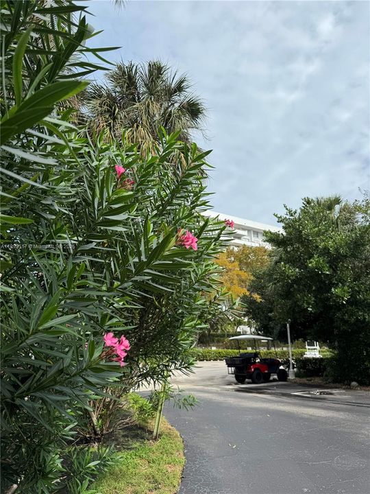 Недавно арендовано: $4,550 (2 спален, 2 ванн, 1335 Квадратных фут)