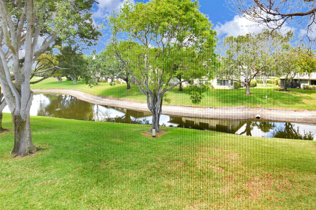 Lake Front View