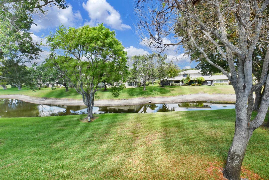 Lake Front View