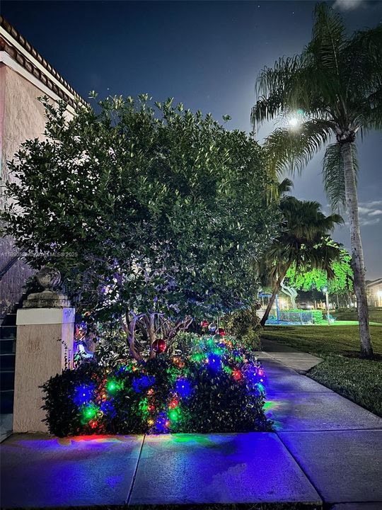 For Sale: $255,000 (1 beds, 1 baths, 618 Square Feet)