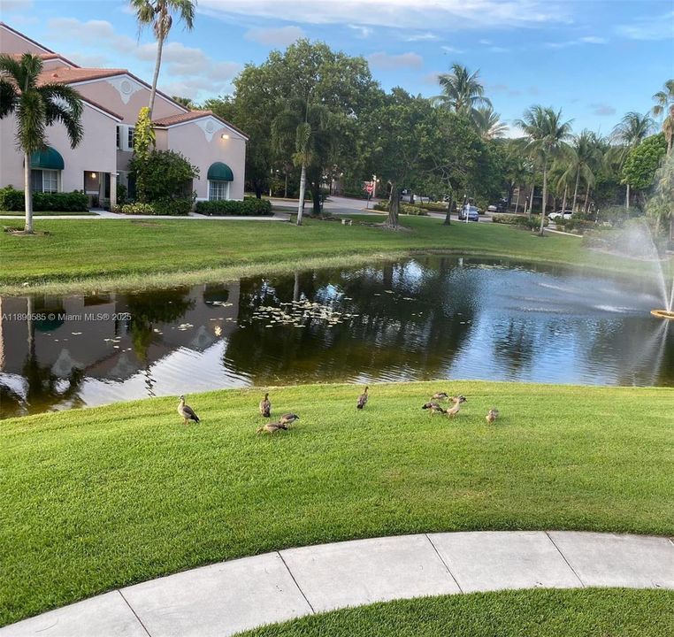 For Sale: $255,000 (1 beds, 1 baths, 618 Square Feet)