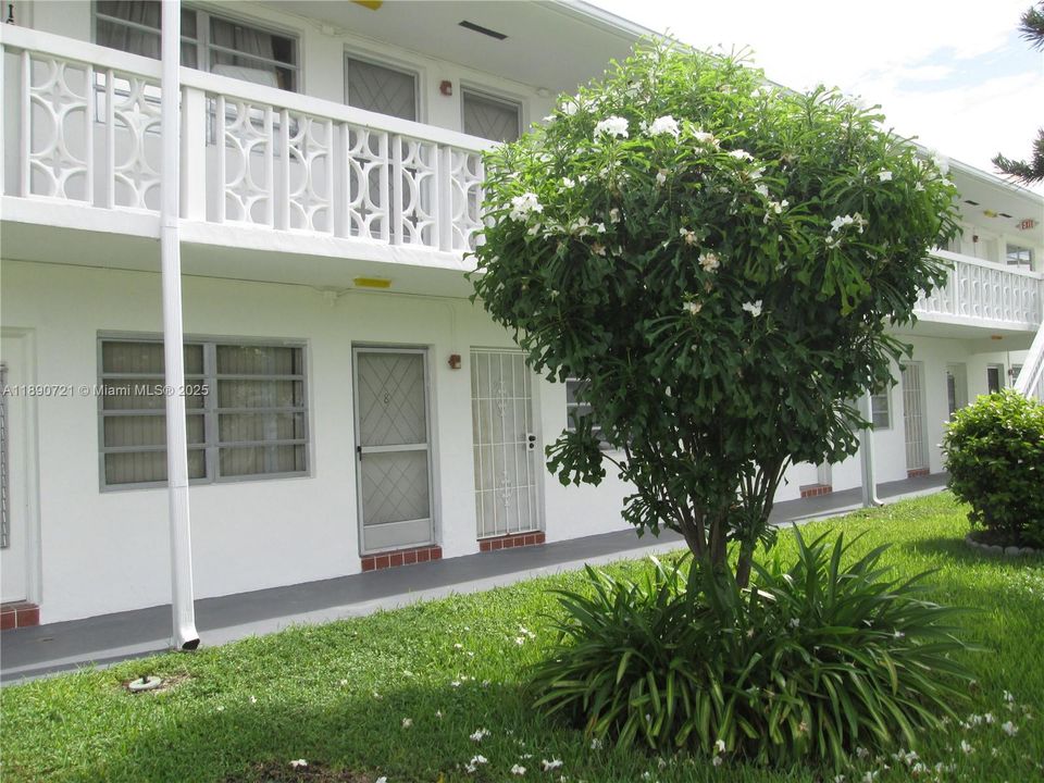 Active With Contract: $1,400 (1 beds, 1 baths, 711 Square Feet)