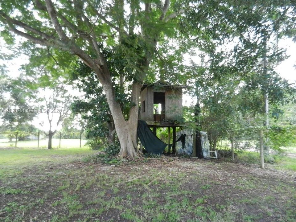 TREE HOUSE