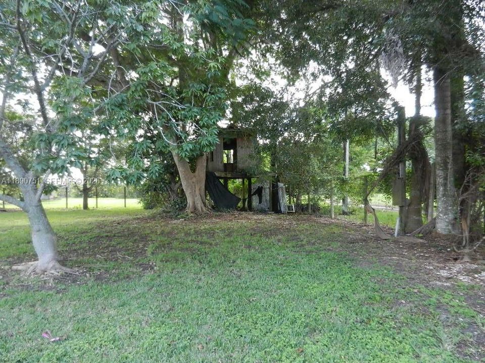 TREE HOUSE