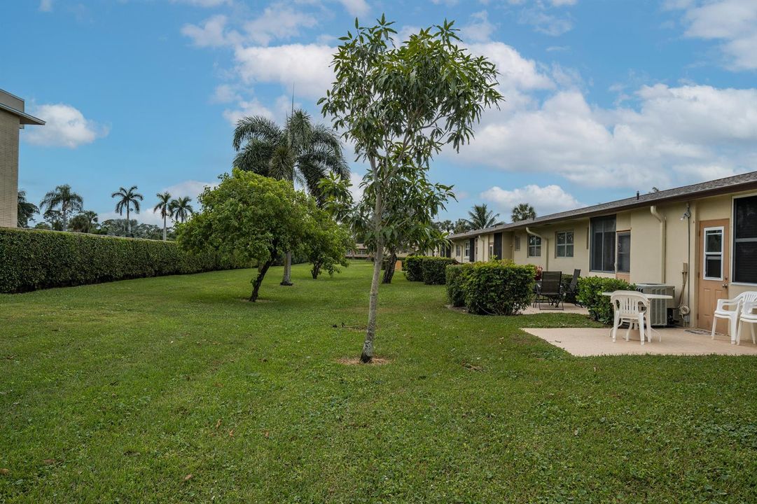 Back yard