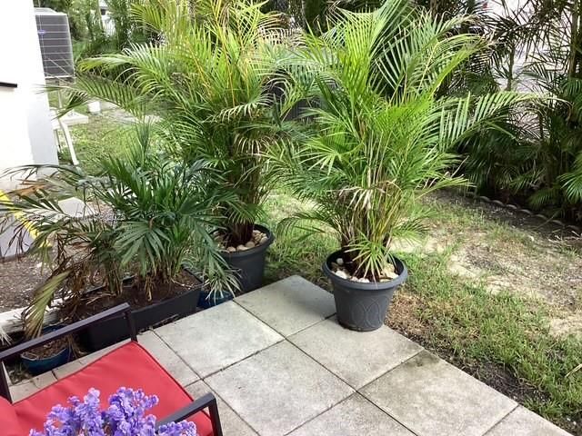 На продажу: $195,000 (1 спален, 1 ванн, 750 Квадратных фут)