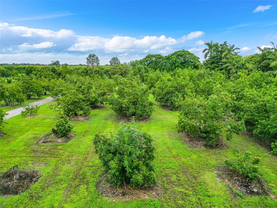 Recently Sold: $1,750,000 (2 beds, 2 baths, 3357 Square Feet)