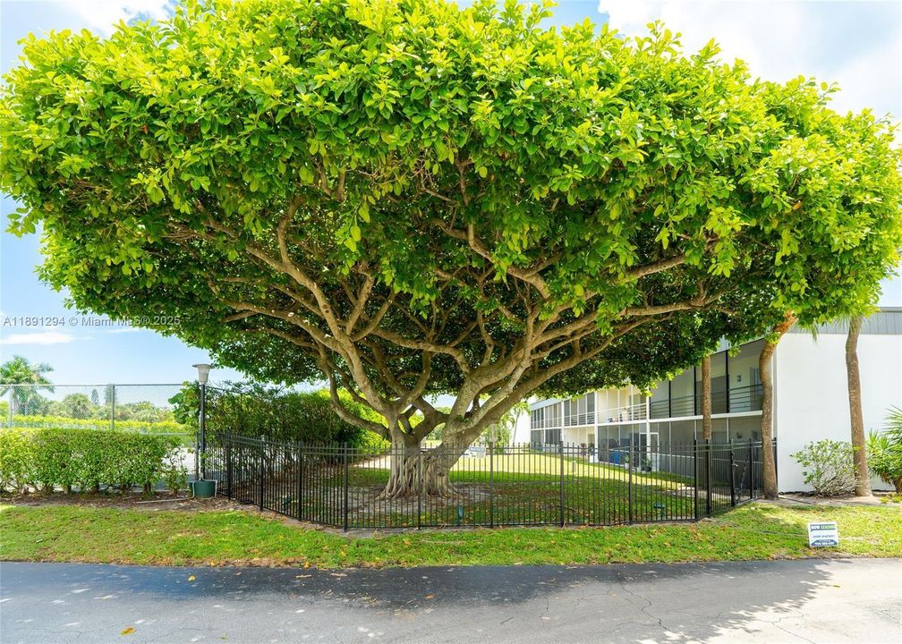 Activo con contrato: $1,975 (1 camas, 1 baños, 0 Pies cuadrados)