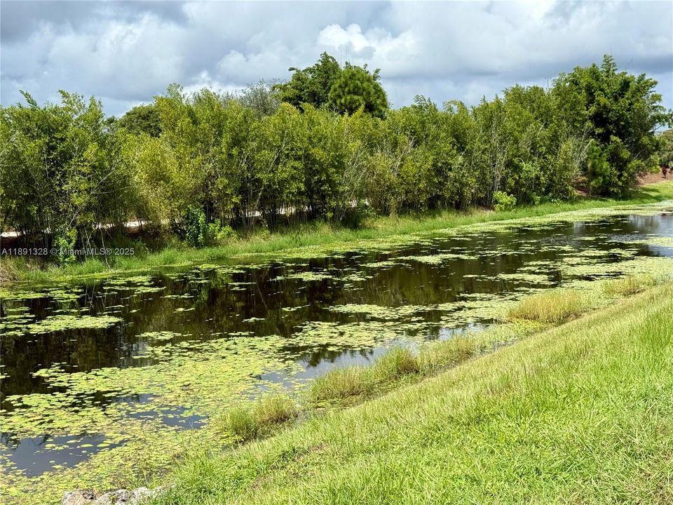 For Sale: $2,620,000 (5 beds, 3 baths, 3683 Square Feet)