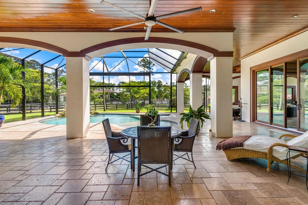 Patio & Pool