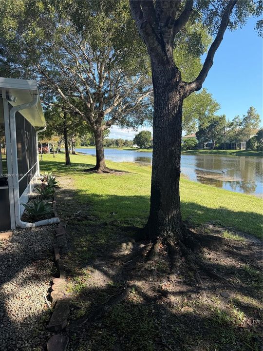 Под контрактом: $3,250 (3 спален, 2 ванн, 1468 Квадратных фут)