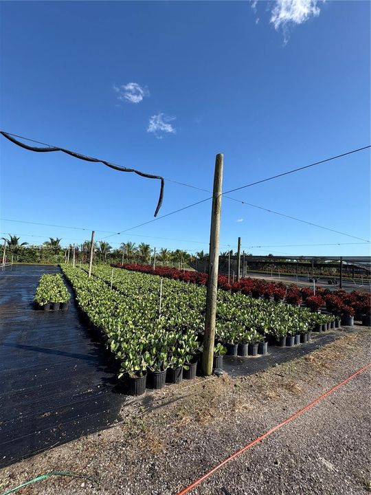 For Sale: $1,400,000 (0 beds, 0 baths, 0 Square Feet)