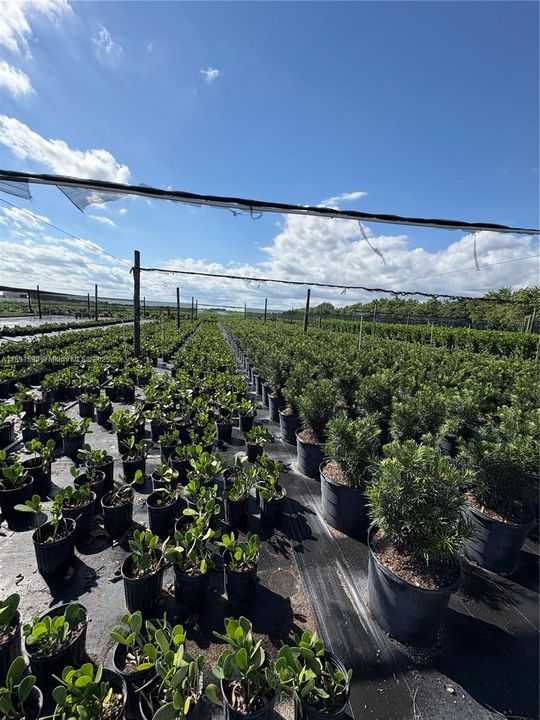 For Sale: $1,400,000 (0 beds, 0 baths, 0 Square Feet)