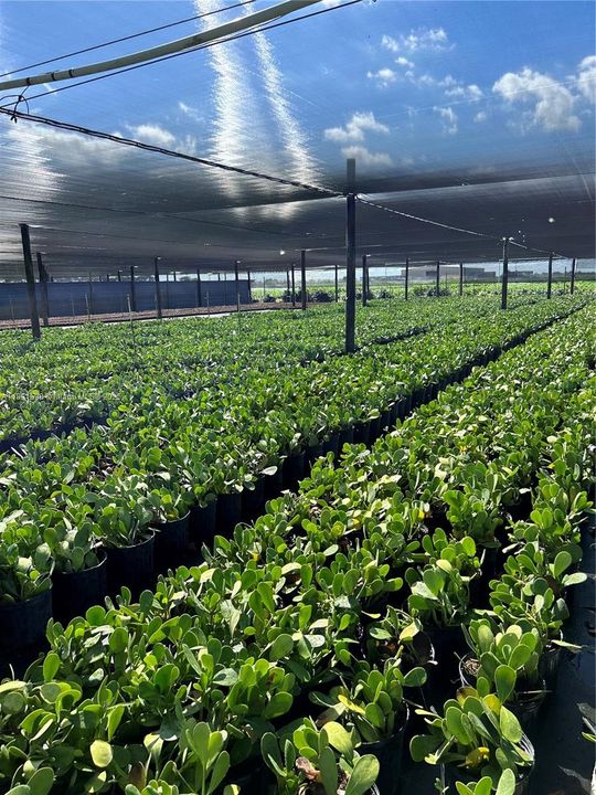 For Sale: $1,400,000 (0 beds, 0 baths, 0 Square Feet)