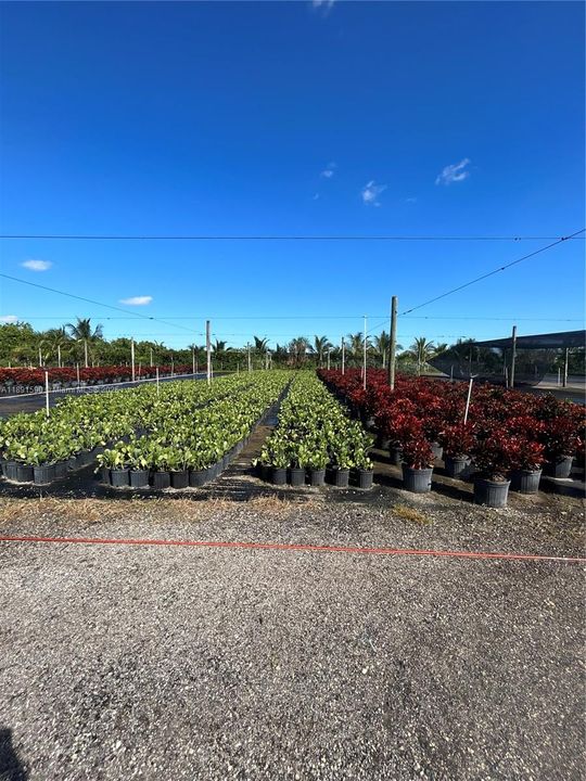 For Sale: $1,400,000 (0 beds, 0 baths, 0 Square Feet)