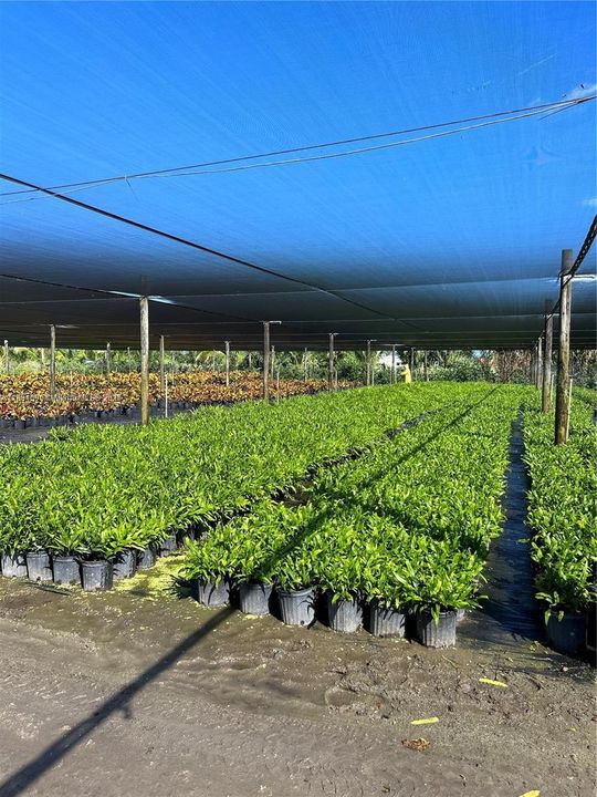 For Sale: $1,400,000 (0 beds, 0 baths, 0 Square Feet)