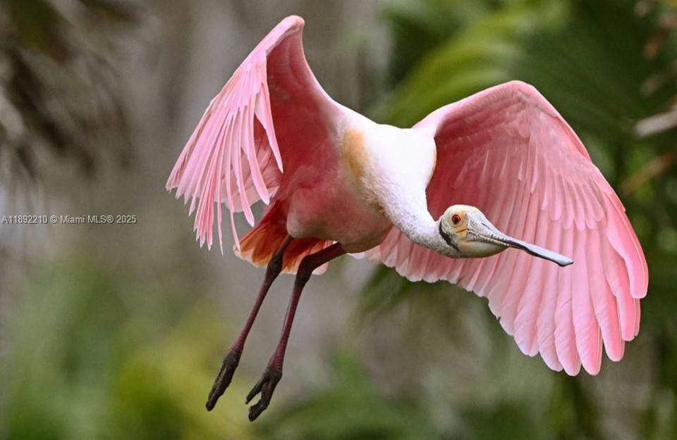 待售: $24,900 (0.25 acres)