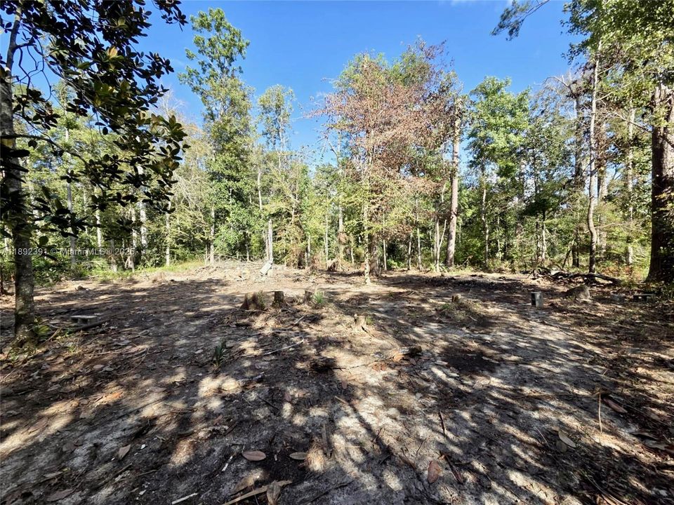 For Sale: $59,900 (2.95 acres)