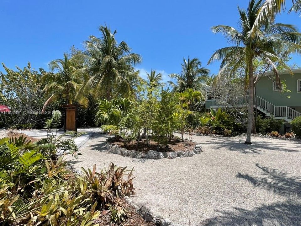 Easy buildingmostly clear site to develop ASAP