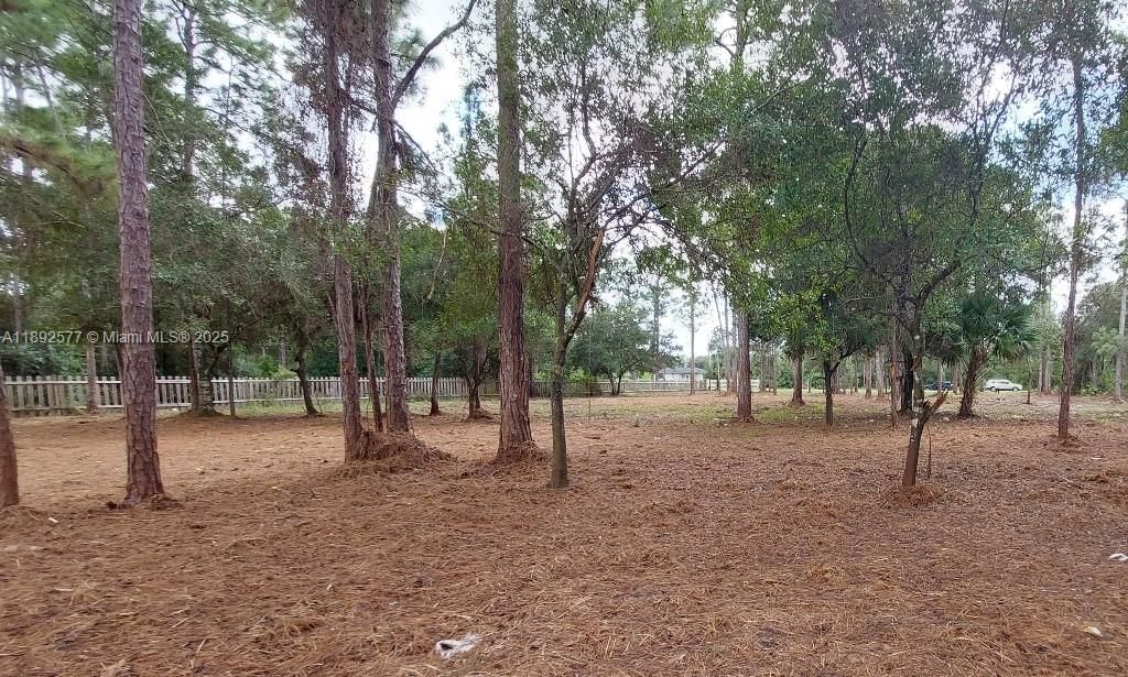 For Sale: $59,900 (1.25 acres)