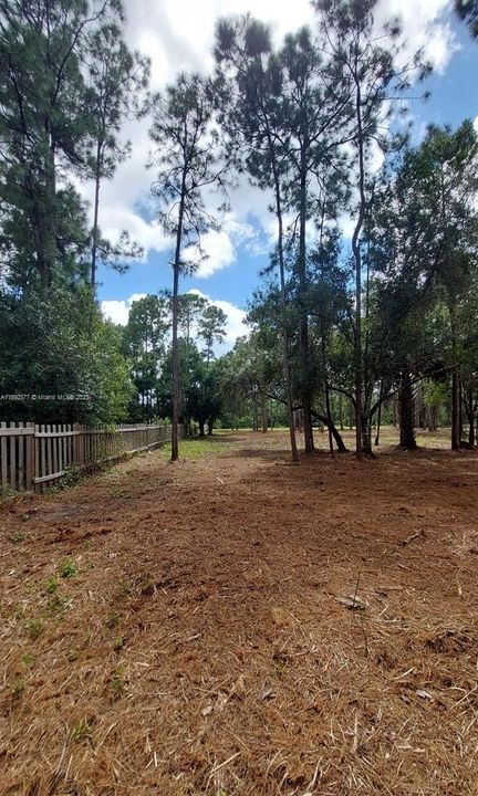 For Sale: $59,900 (1.25 acres)