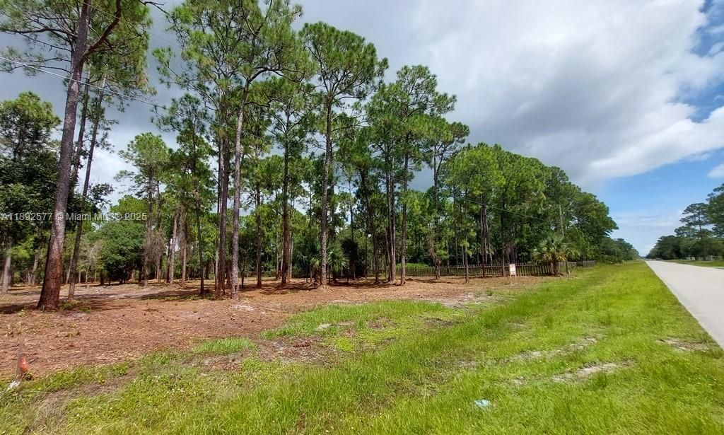 For Sale: $59,900 (1.25 acres)