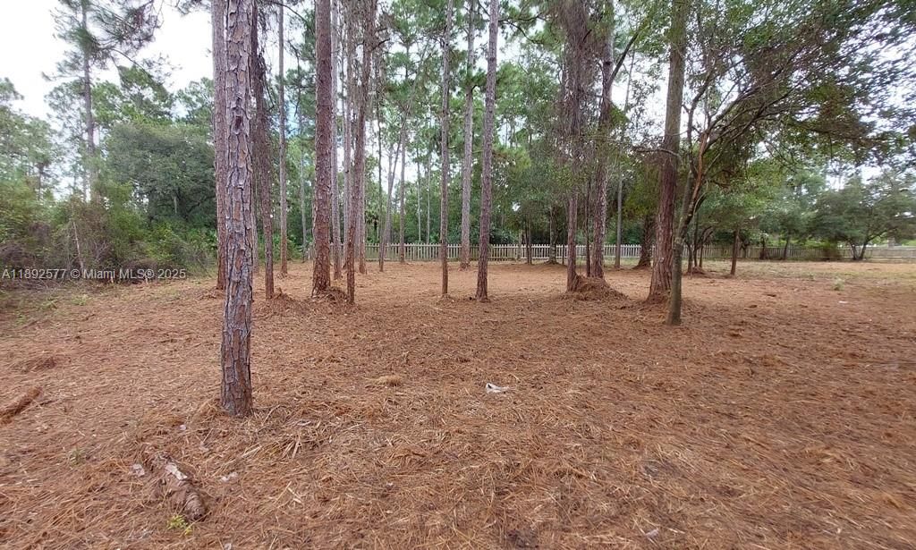 For Sale: $59,900 (1.25 acres)