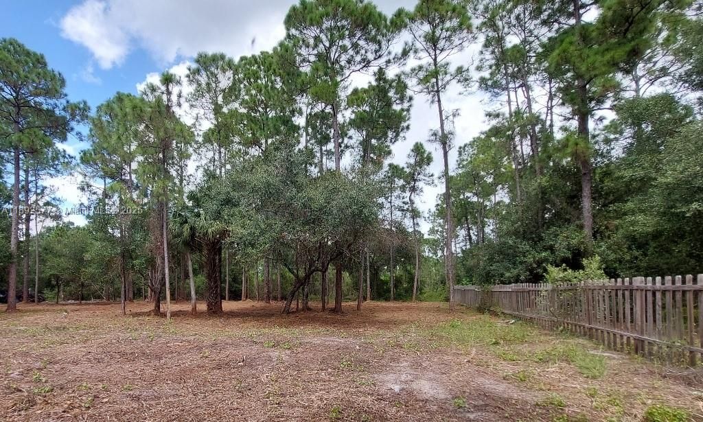 For Sale: $59,900 (1.25 acres)