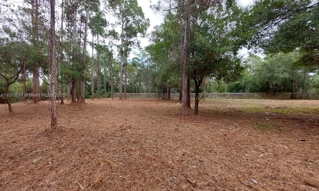 For Sale: $59,900 (1.25 acres)