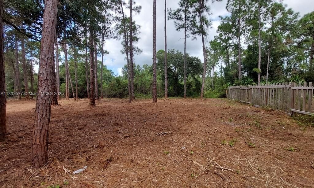 For Sale: $59,900 (1.25 acres)