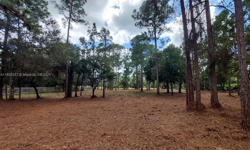 For Sale: $59,900 (1.25 acres)