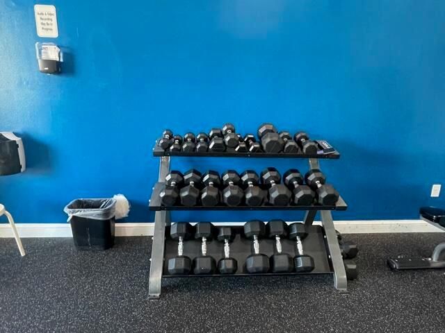 Mirabella weights