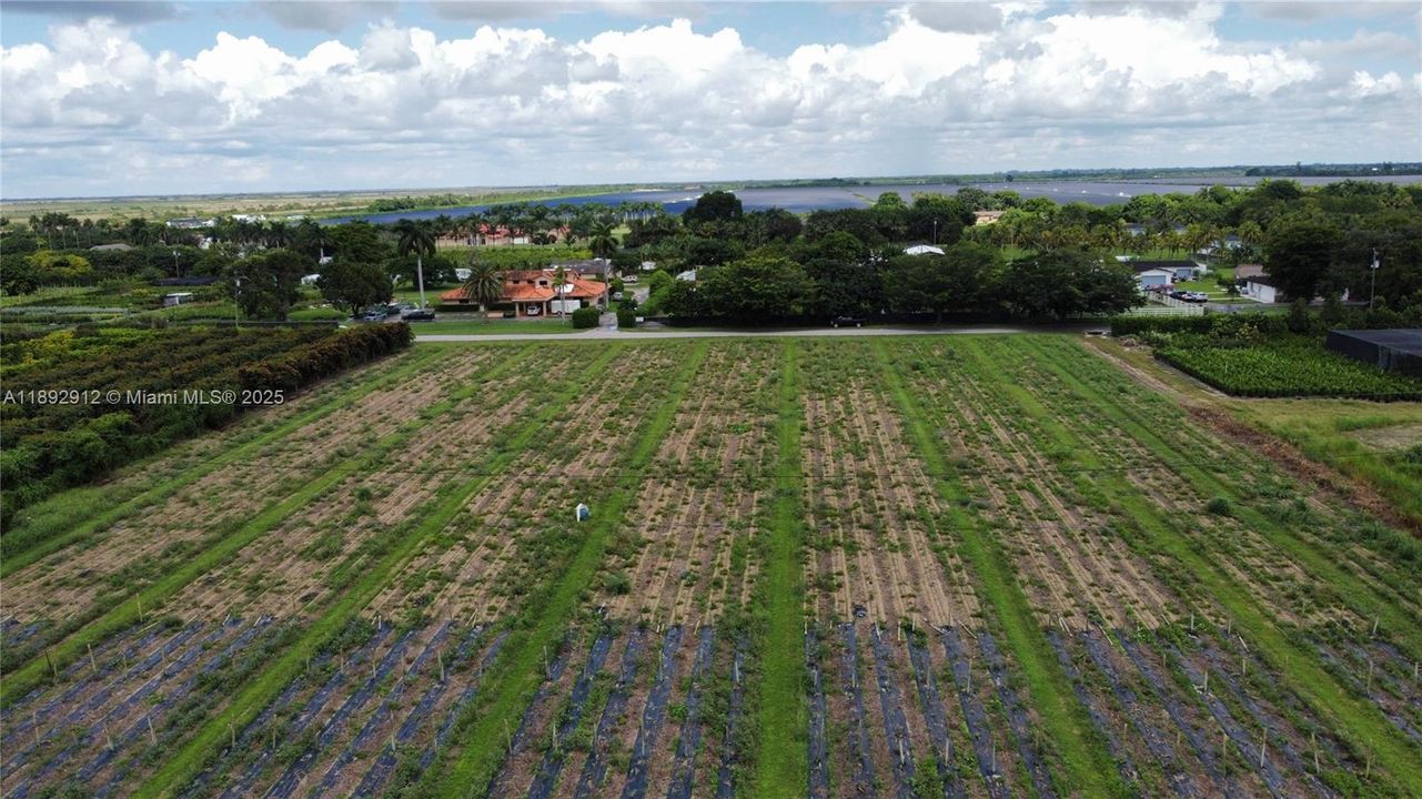 待售: $1,500 (0 贝兹, 0 浴室, 0 平方英尺)